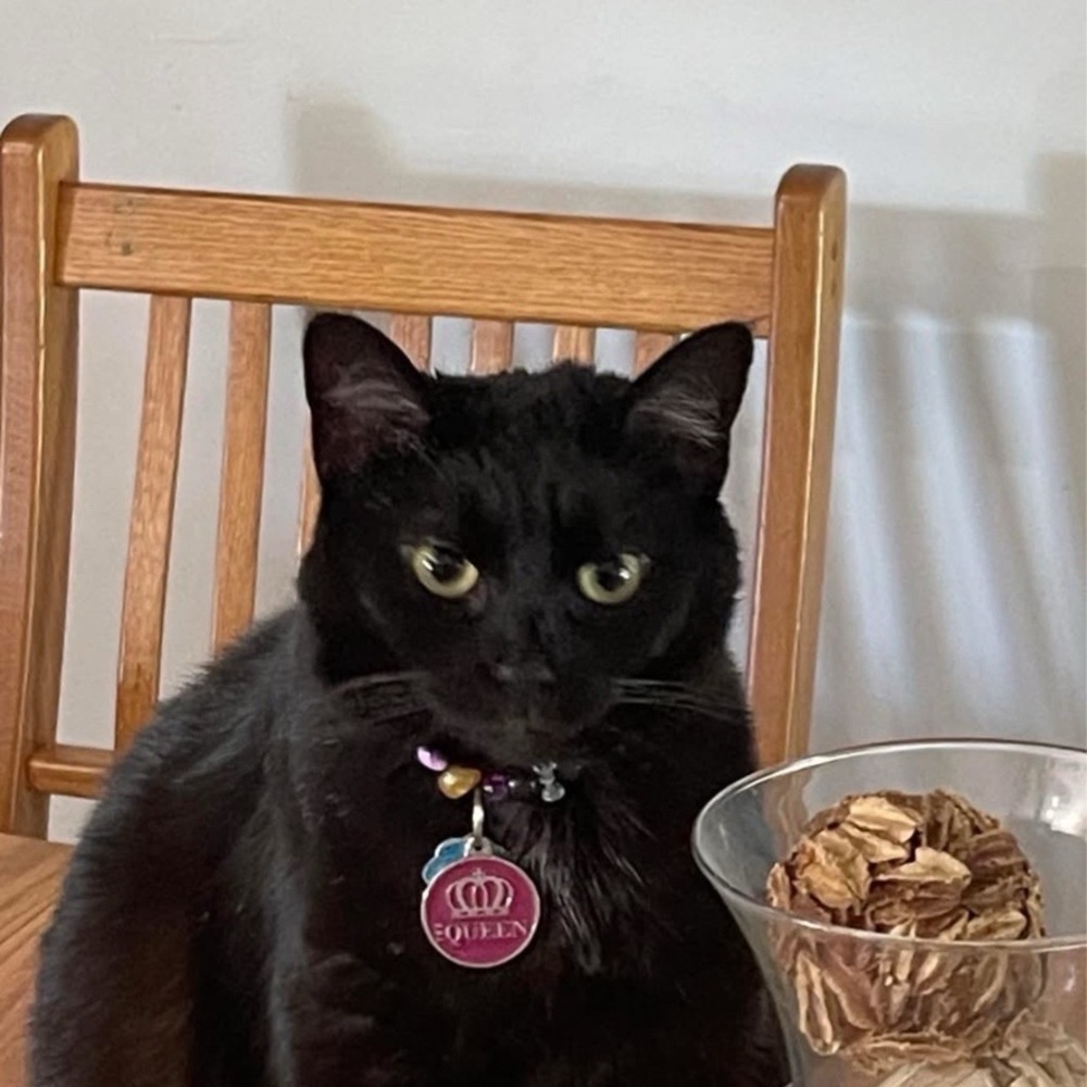 Meet your Posher, Marie